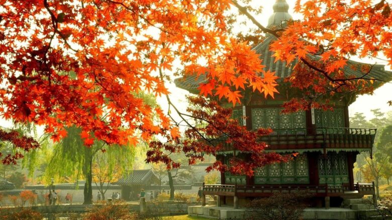 best Korean wallpaper Full HD autumn