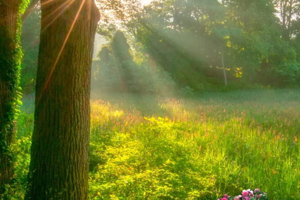 best sunny wallpaper at sunrise for mobile best sunny wallpaper at sunrise for mobile