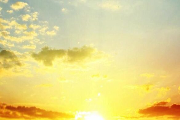 best yellow sunny wallpaper for iPhone best yellow sunny wallpaper for iPhone