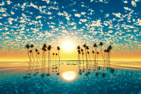 sea wallpaper 4K with rows of coconut trees sea wallpaper 4K with rows of coconut trees