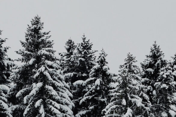 Beautiful, simple winter wallpaper for iPhone