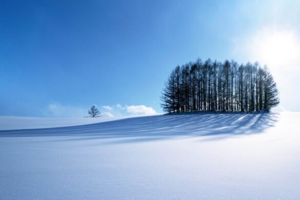 download Winter wallpaper with simple scenery full HD