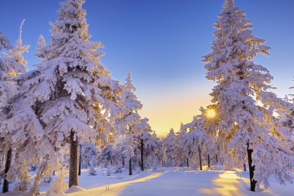 download Winter wallpaper with sunrise