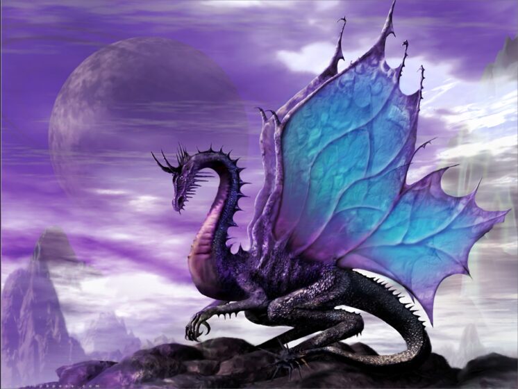 Dragon wallpaper