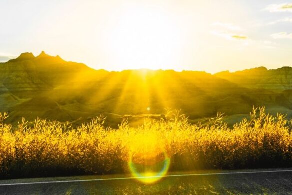 free download sweltering sunny wallpaper for phone free download sweltering sunny wallpaper for phone