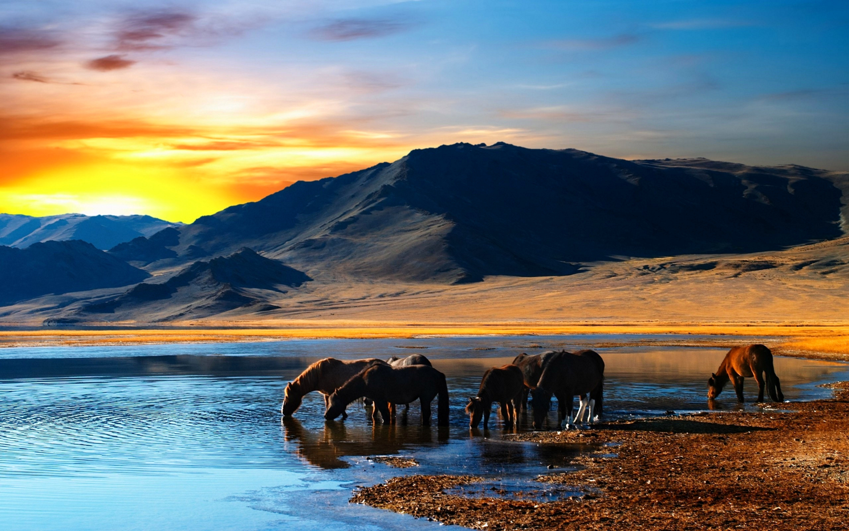 free landscape wallpaper with horses drinking water