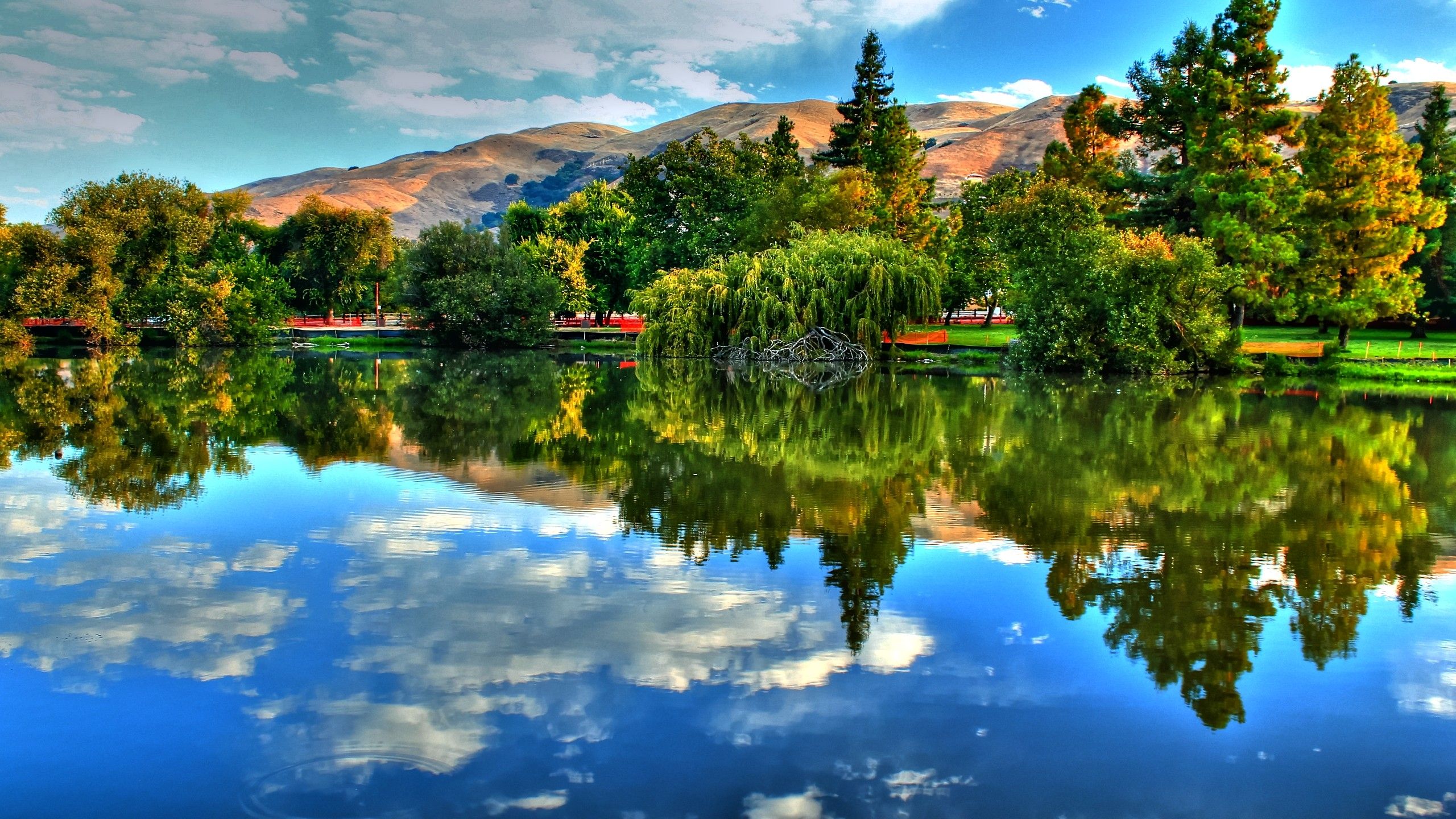 lake landscape wallpaper 2K with rows of green trees