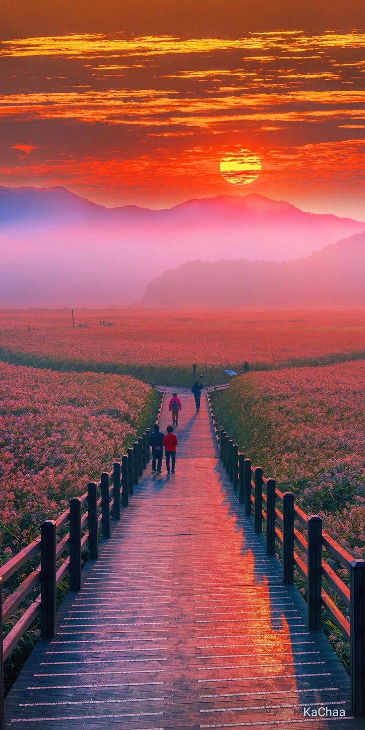 Landscape wallpaper with people watching the sunset