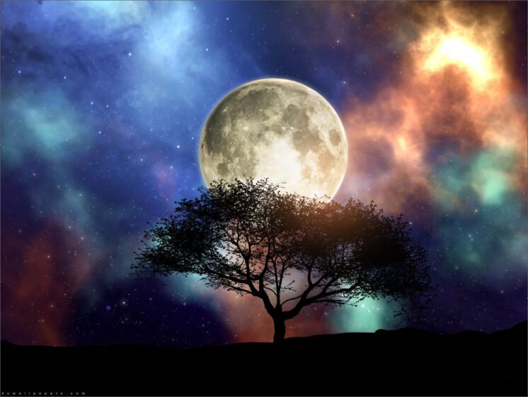 Moon Wallpaper