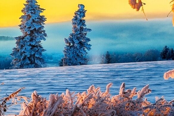 Winter wallpaper at dawn