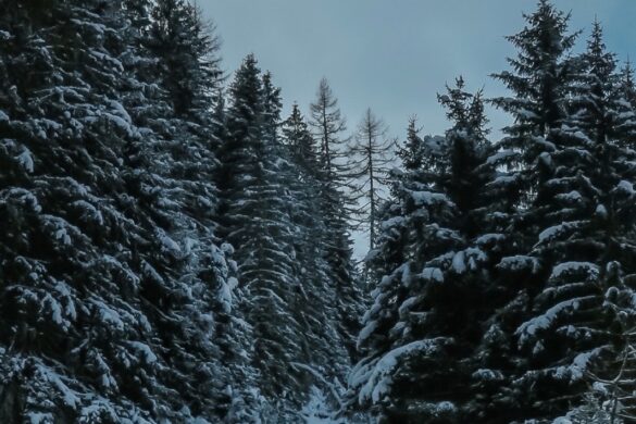 Winter wallpaper iPhone