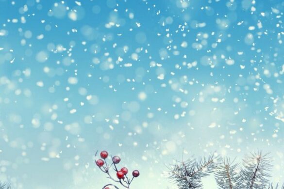 Winter wallpaper vector