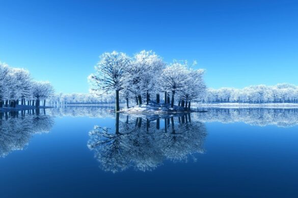 Winter wallpaper with natural scenery