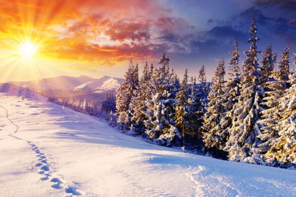 Winter wallpaper with shining sun