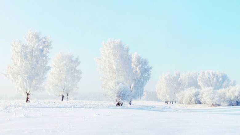 Download winter white wallpaper 4k for pc 3840x2160