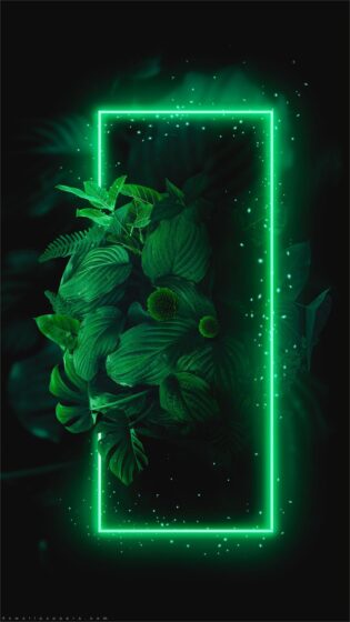 Green wallpaper
