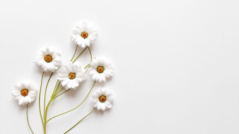 white wallpaper with flower 1920x1080