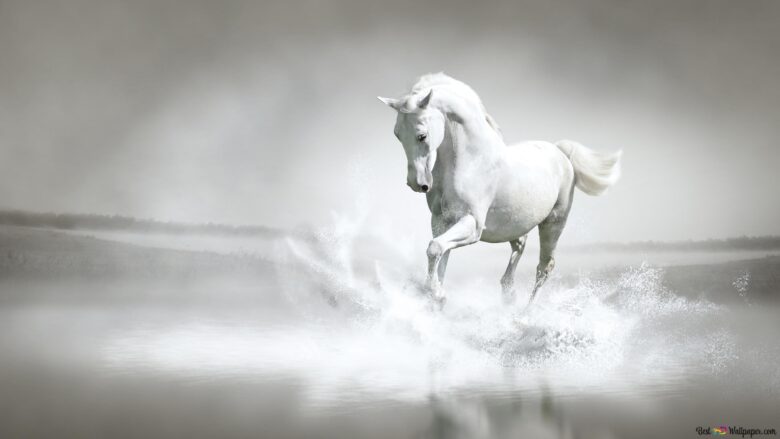 white wallpaper with horse 3840x2160
