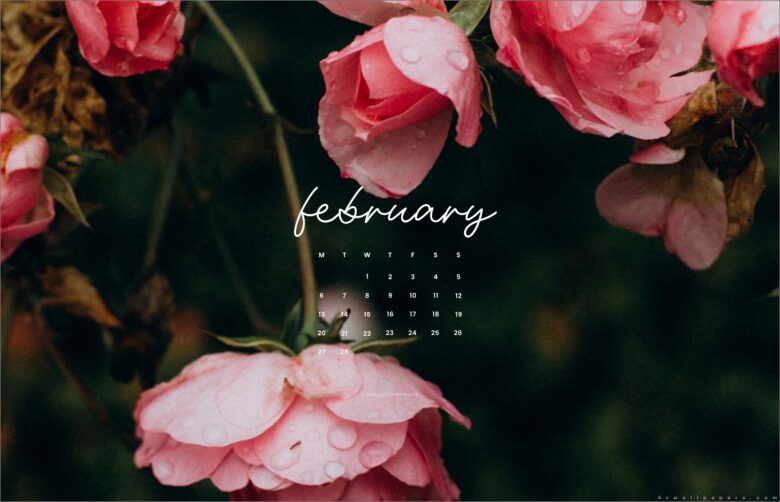 February wallpaper