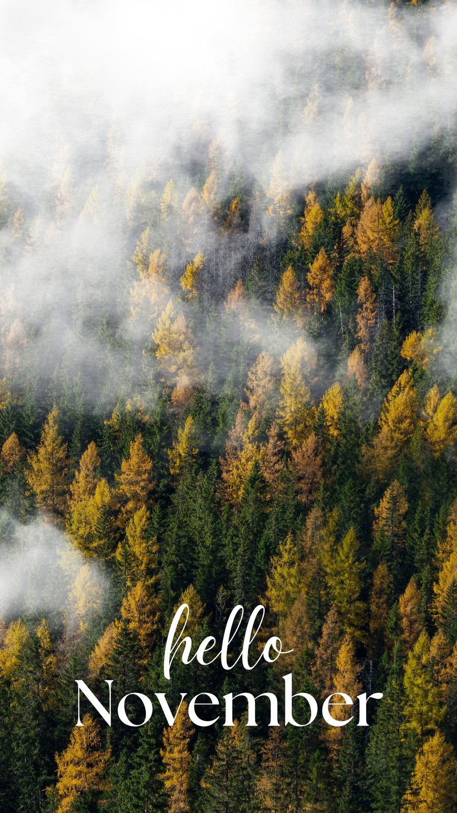 November Wallpapers Cute and Aesthetic With Warm Colors