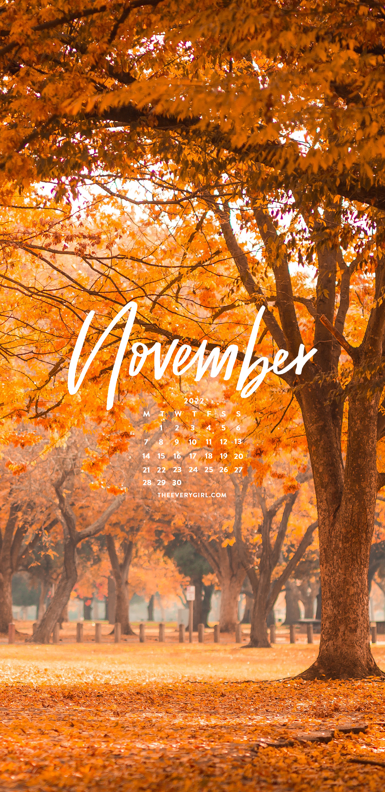 November Wallpapers Cute and Aesthetic With Warm Colors