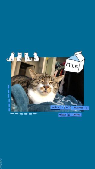 cat pfp aesthetic wallpaper with blue babckground 675x1200