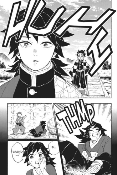 funny demon slayer manga panels wallpaper between tanjiro and pillar 801x1200