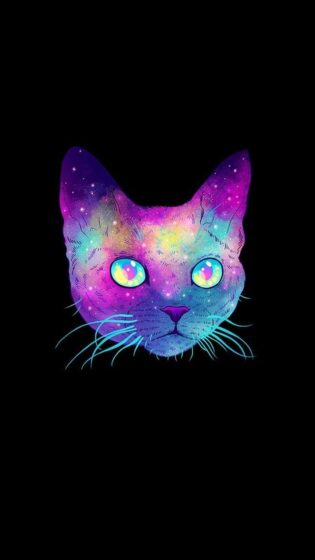 galaxy cat pfp aesthetic wallpaper with black background 720x1280