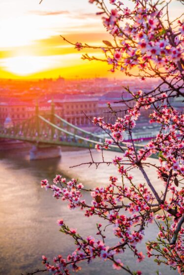Spring screensaver with bridge in the distance 1440x2158