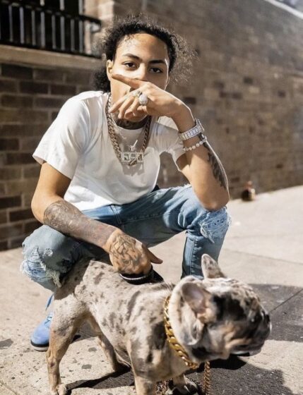 Kay flock pfp with puppy 808x1054