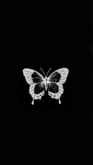 y2k wallpaper black with butterfly 1080x1920